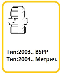 trubniki2003-04